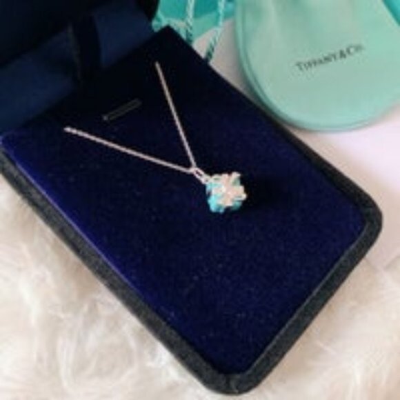 Tiffany & Co. 925 Silver Necklace